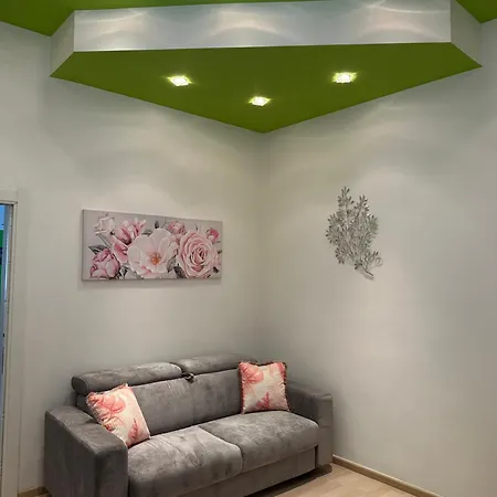 3f 바리